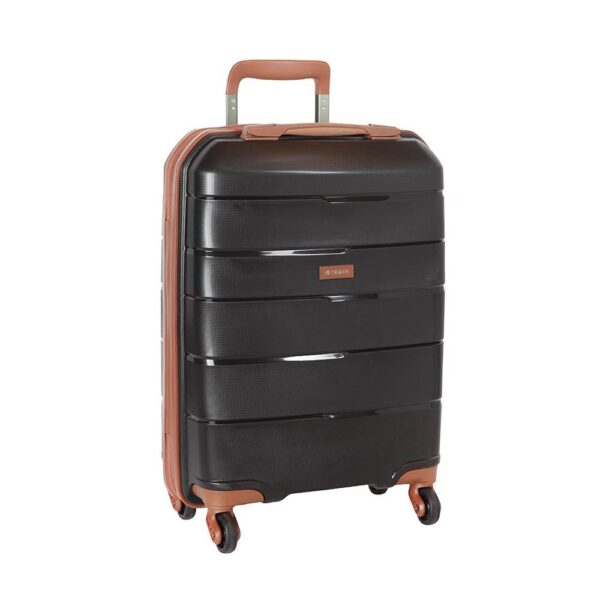 Cellini Spinn 55cm -black/tan