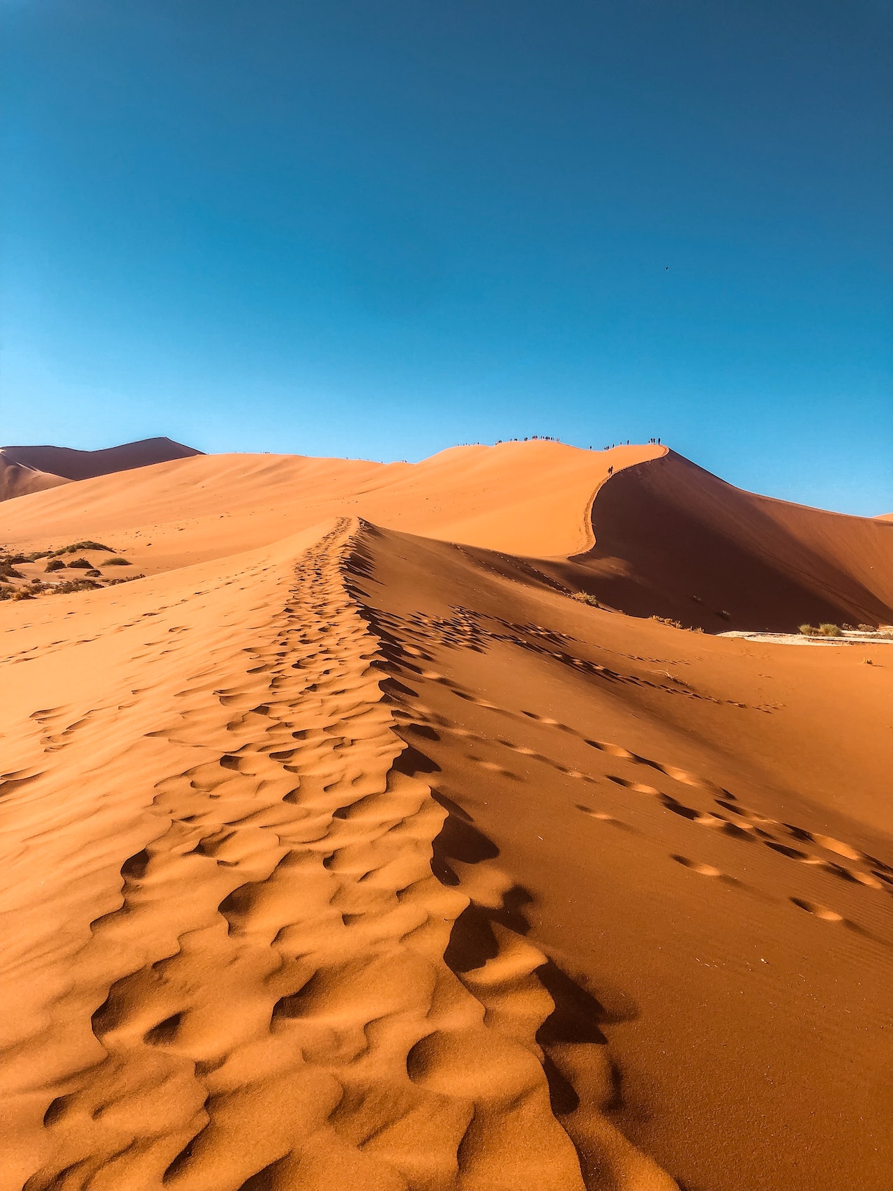 Visa-Free Namibia