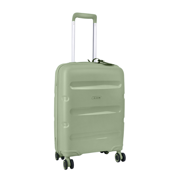 Cellini Cruze 55cm 4 Wheel Trolley Carry On - Sage